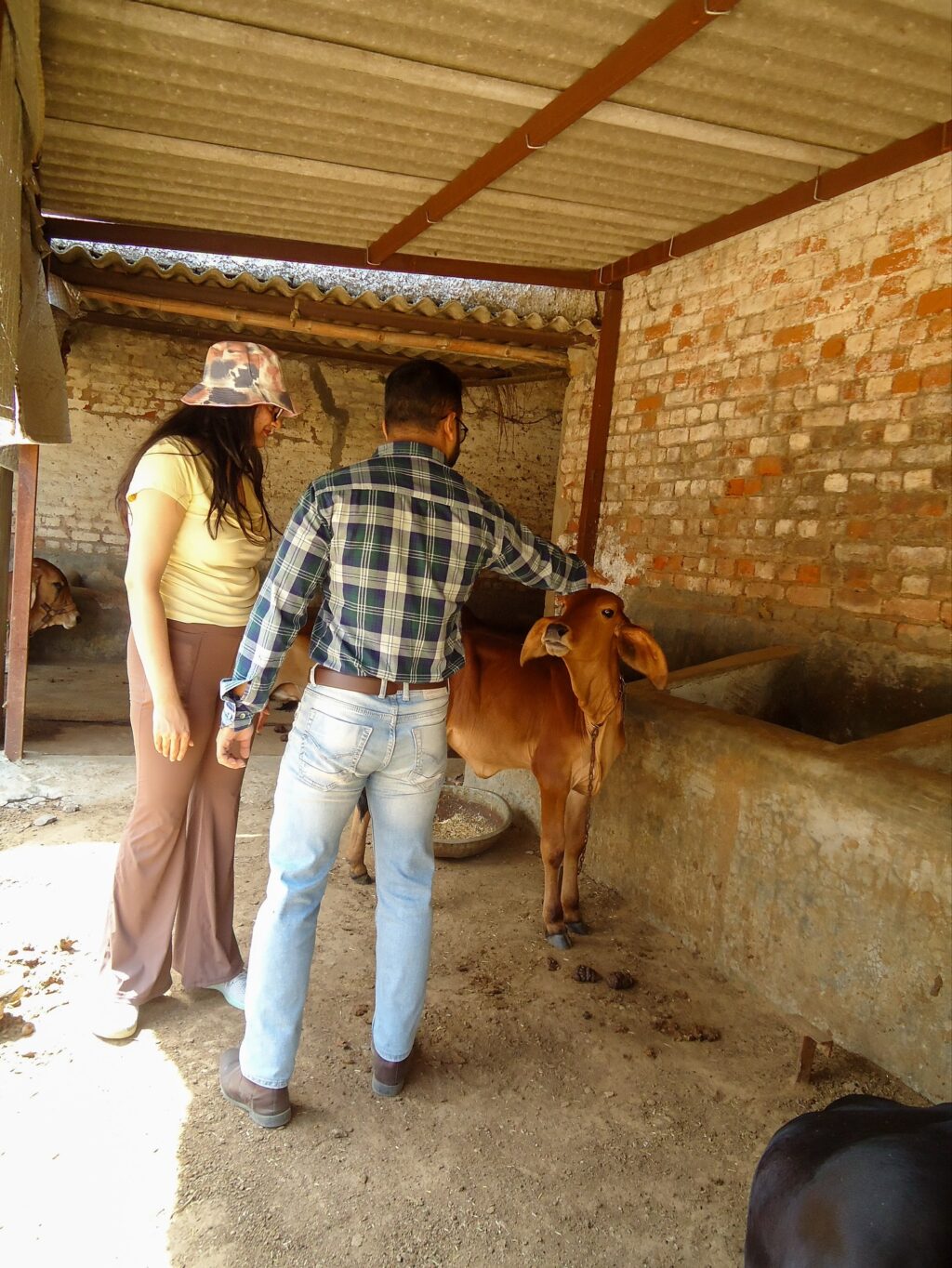 Instagram post from orchardatsarai. This post is in position 8.