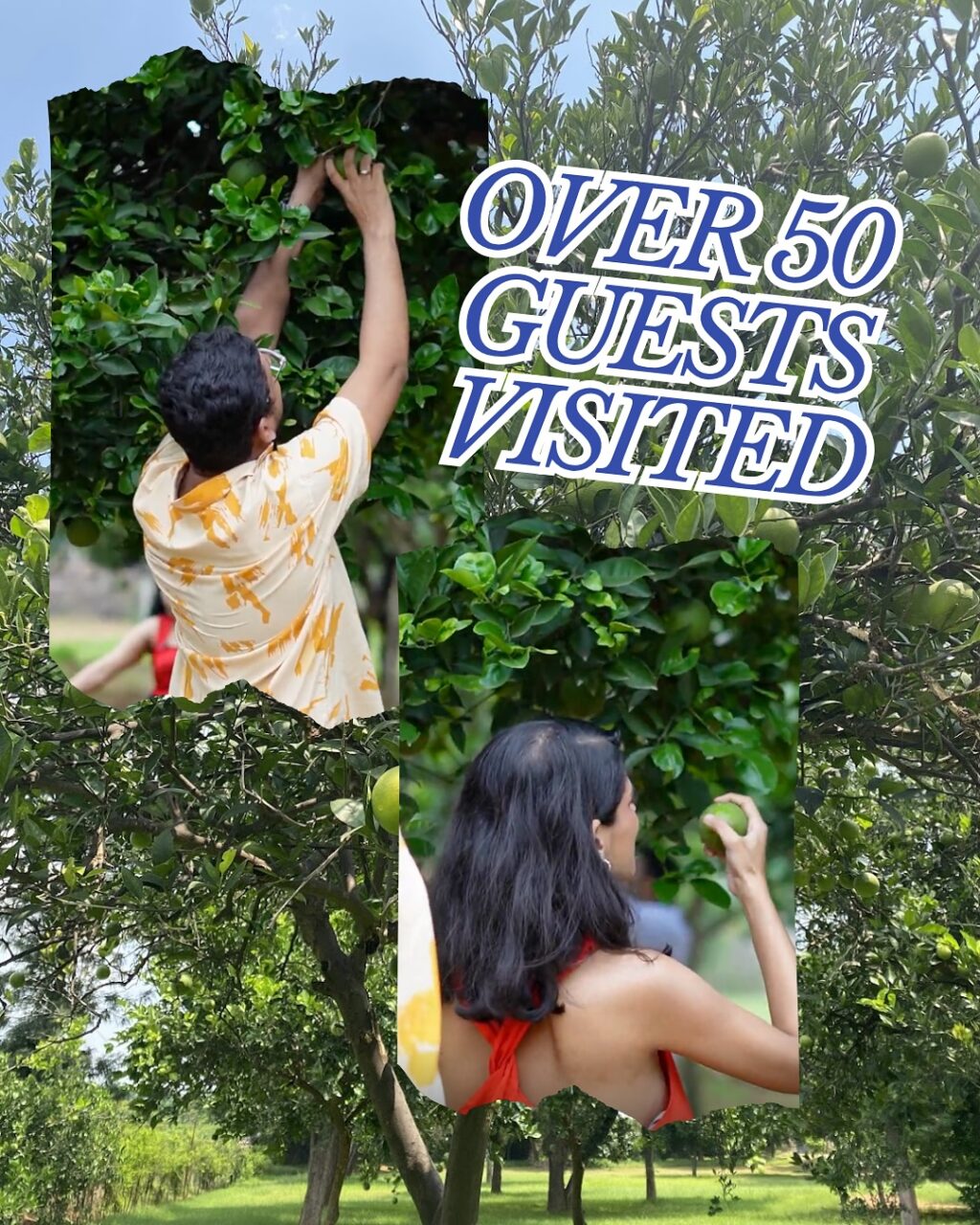 Instagram post from orchardatsarai. This post is in position 2.