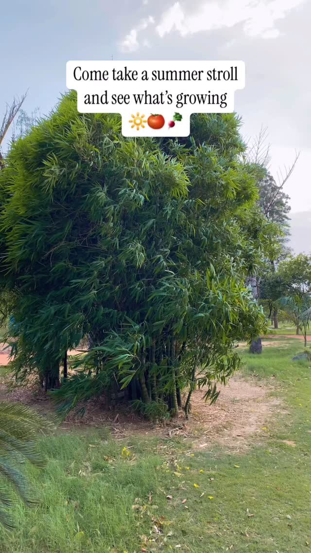 Instagram post from orchardatsarai. This post is in position 2.