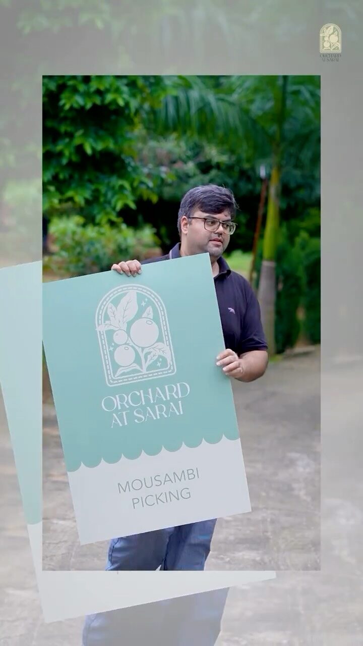 Instagram post from orchardatsarai. This post is in position 5.