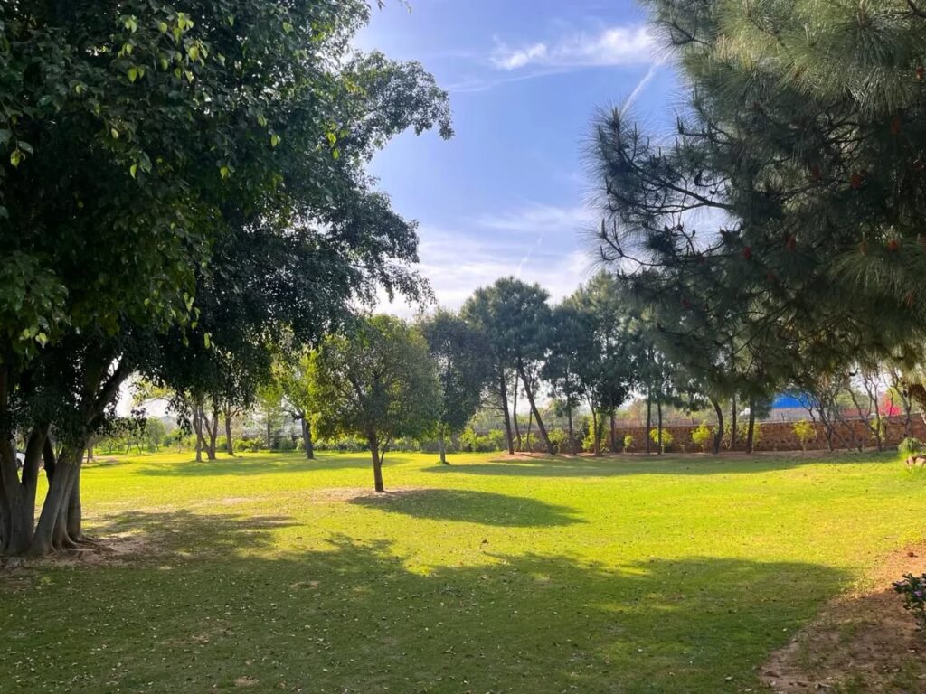 Instagram post from orchardatsarai. This post is in position 0.