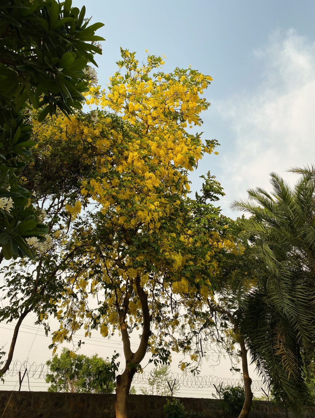 Instagram post from orchardatsarai. This post is in position 13.