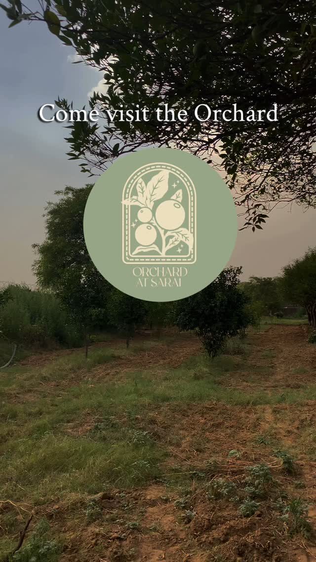 Instagram post from orchardatsarai. This post is in position 5.