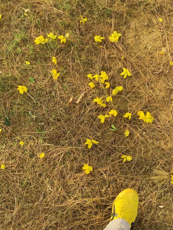 Instagram post from orchardatsarai. This post is in position 11.