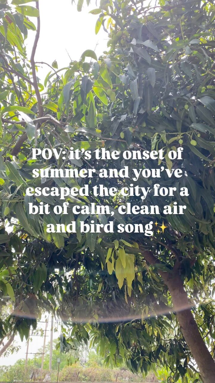 Instagram post from orchardatsarai. This post is in position 7.