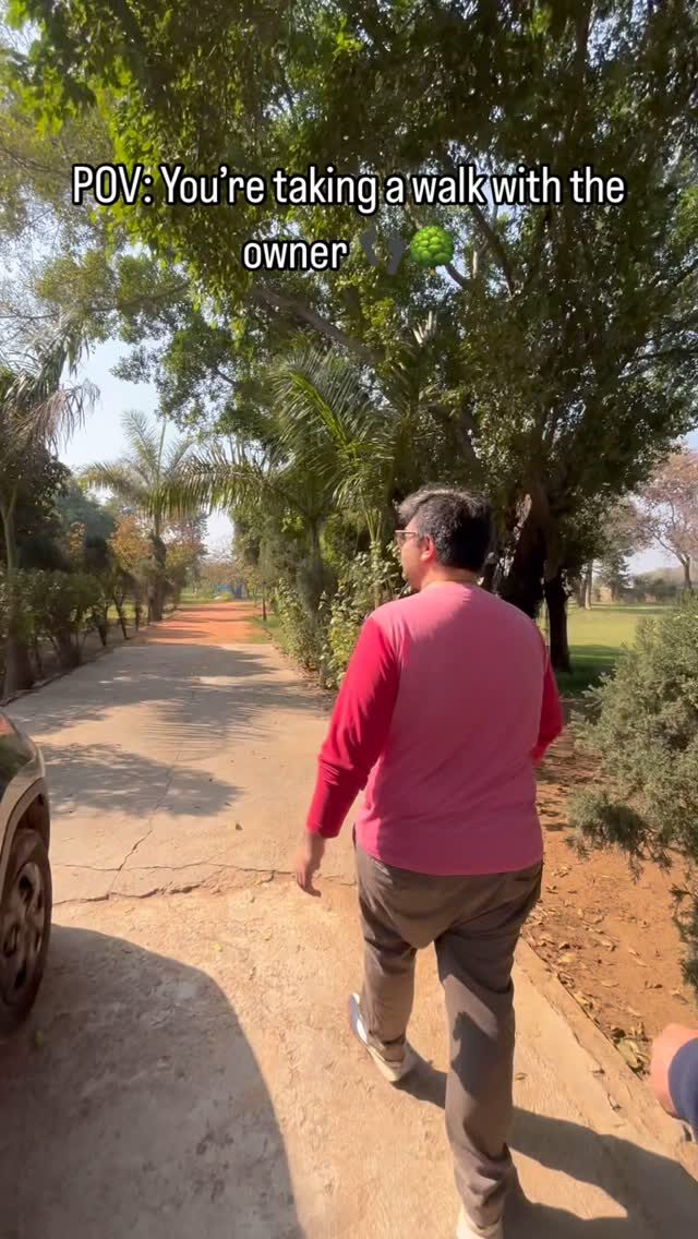 Instagram post from orchardatsarai. This post is in position 10.