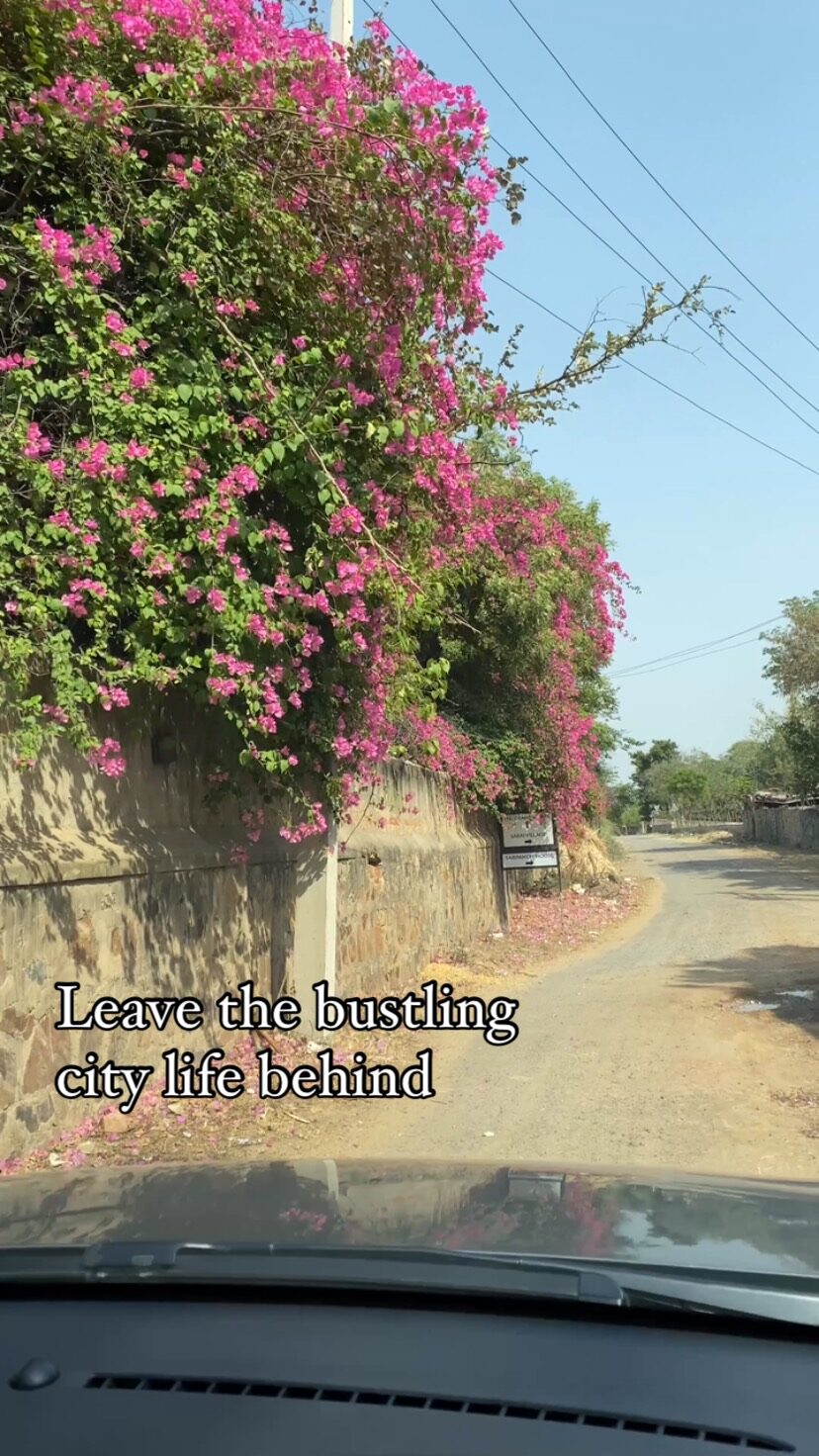 Instagram post from orchardatsarai. This post is in position 3.