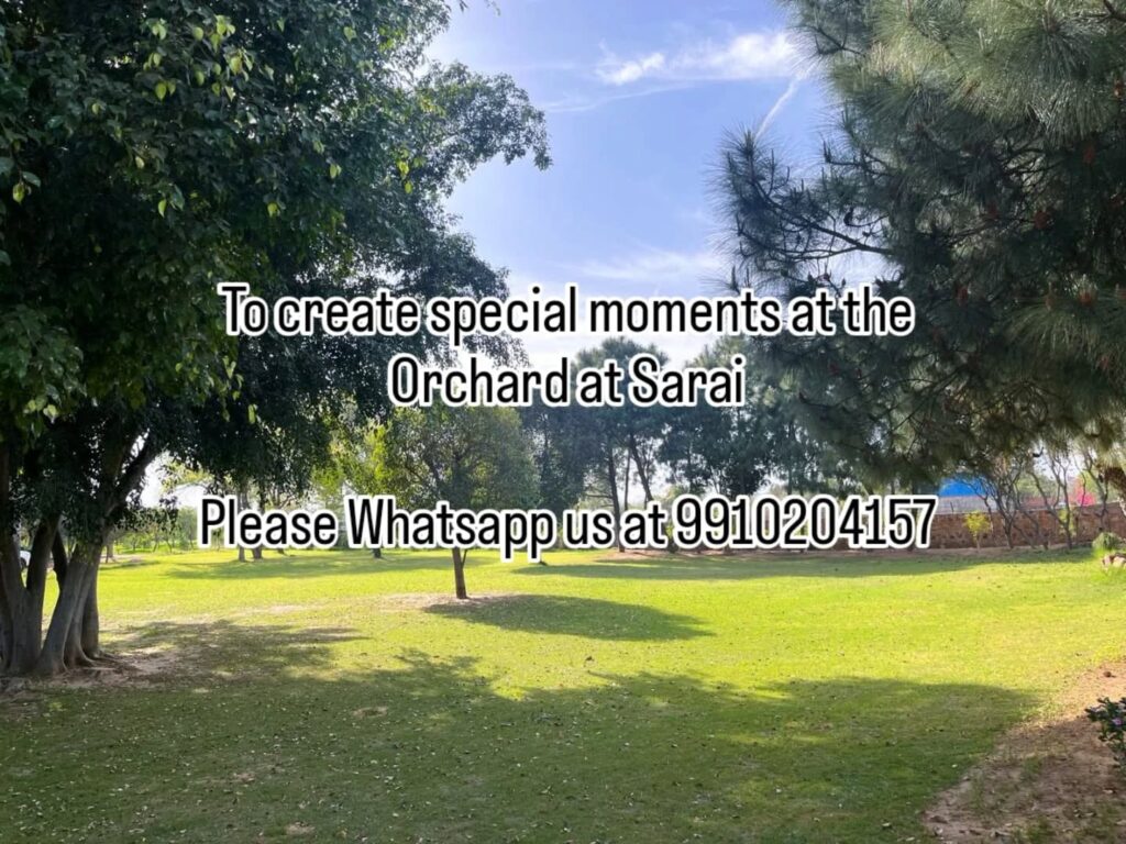 Instagram post from orchardatsarai. This post is in position 6.