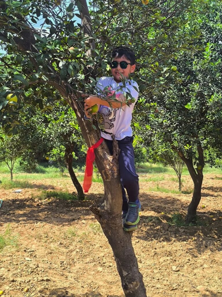 Instagram post from orchardatsarai. This post is in position 8.