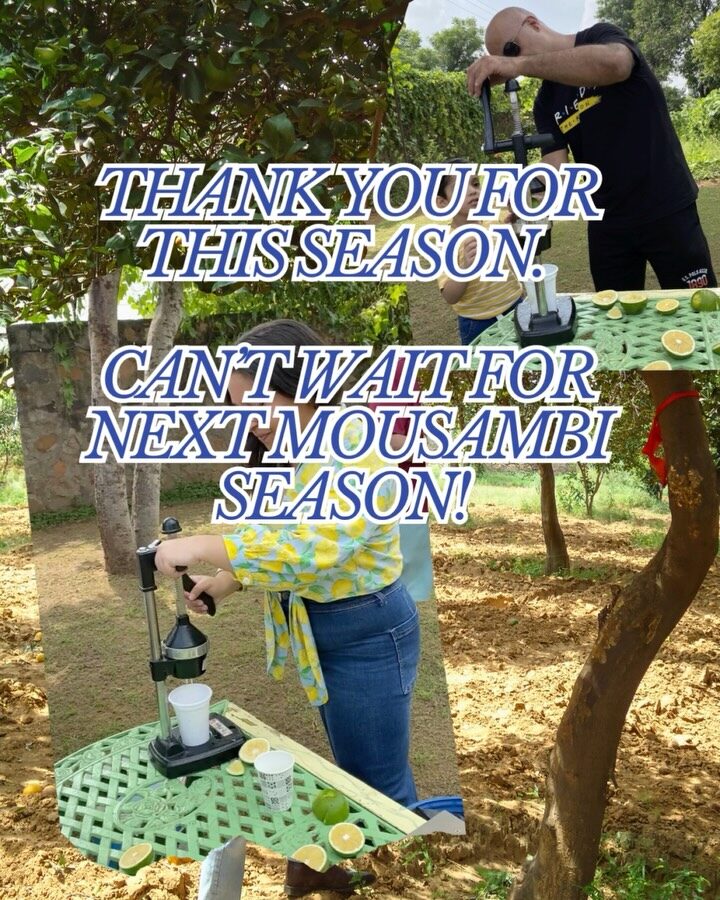 Instagram post from orchardatsarai. This post is in position 6.