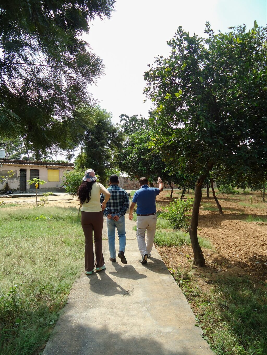 Instagram post from orchardatsarai. This post is in position 5.