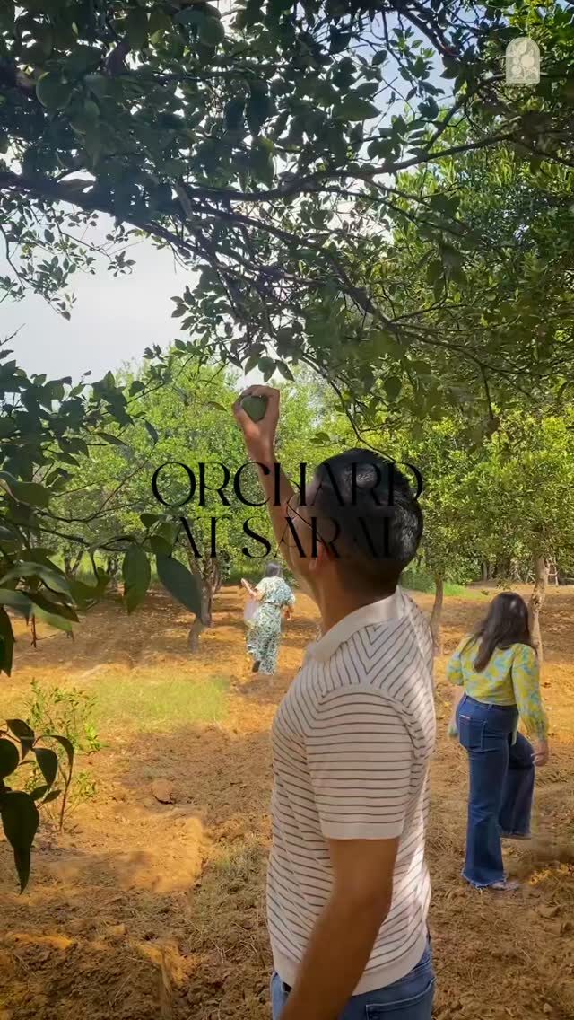 Instagram post from orchardatsarai. This post is in position 1.