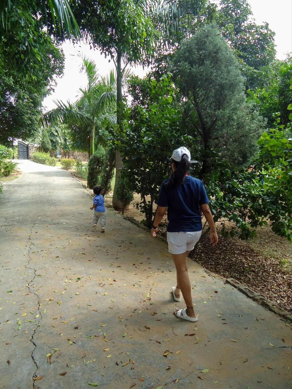 Instagram post from orchardatsarai. This post is in position 6.