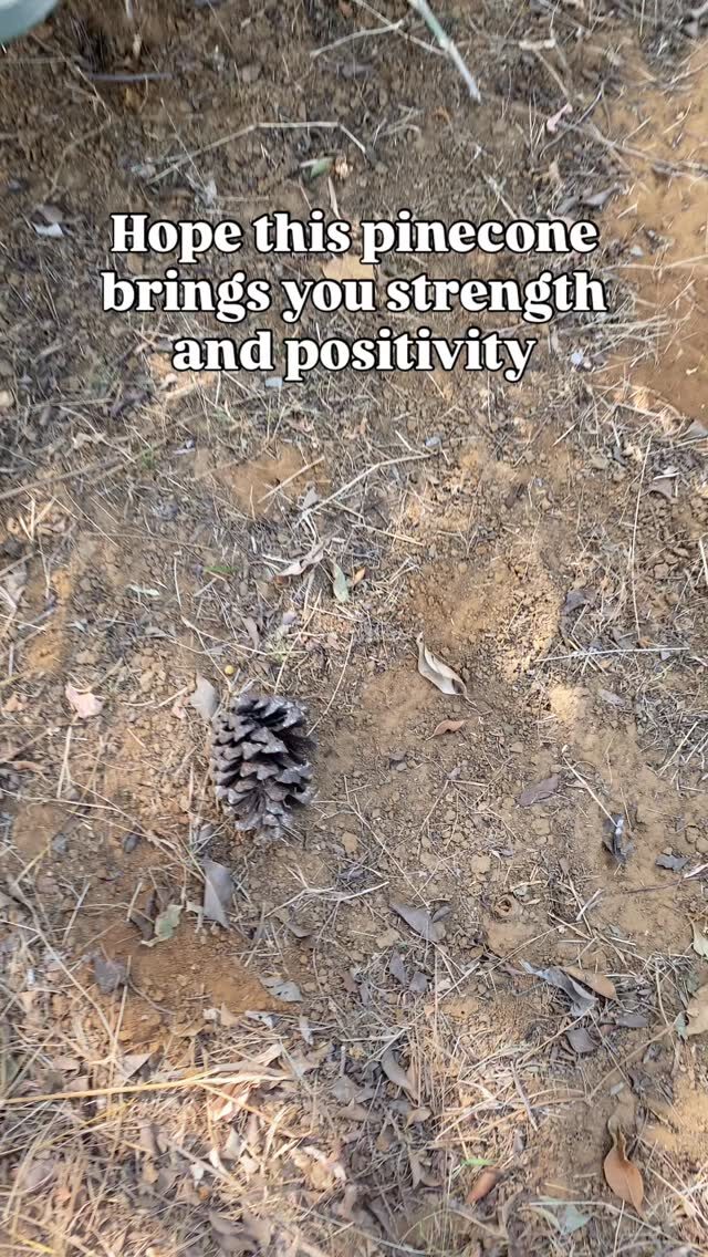 Instagram post from orchardatsarai. This post is in position 10.