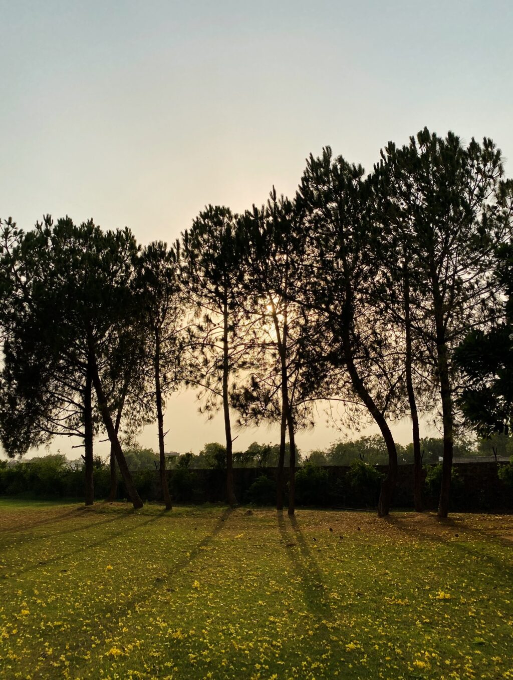 Instagram post from orchardatsarai. This post is in position 14.