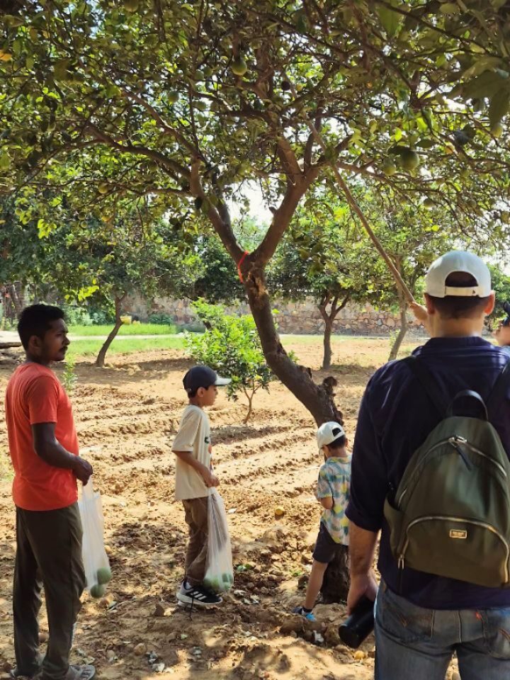 Instagram post from orchardatsarai. This post is in position 2.