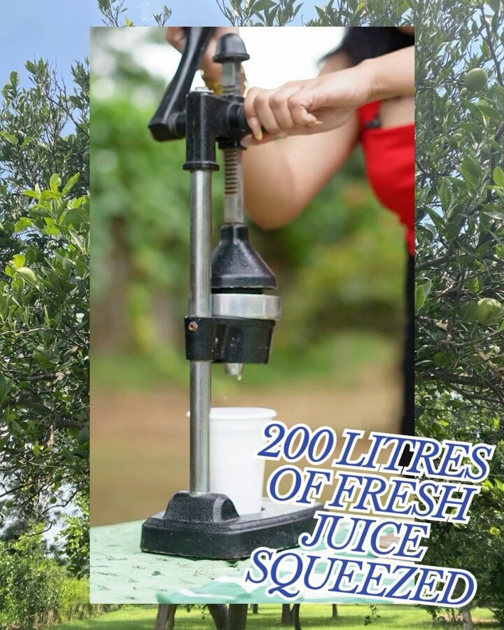 Instagram post from orchardatsarai. This post is in position 4.