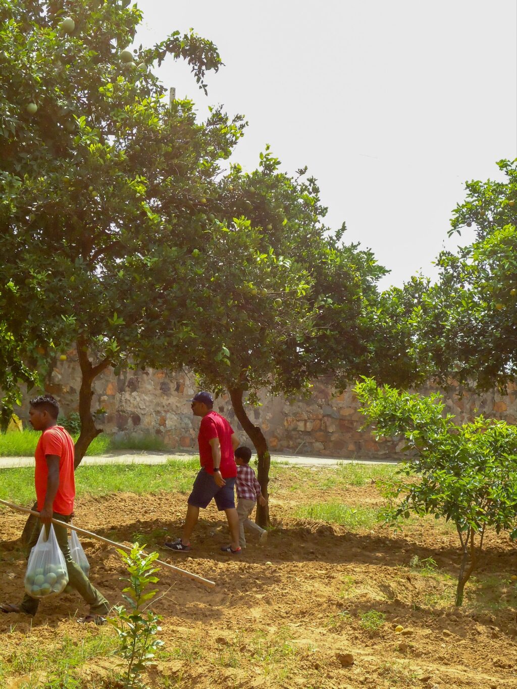 Instagram post from orchardatsarai. This post is in position 2.