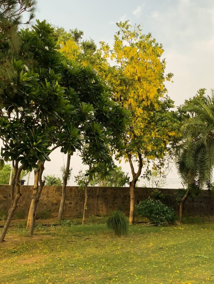 Instagram post from orchardatsarai. This post is in position 10.