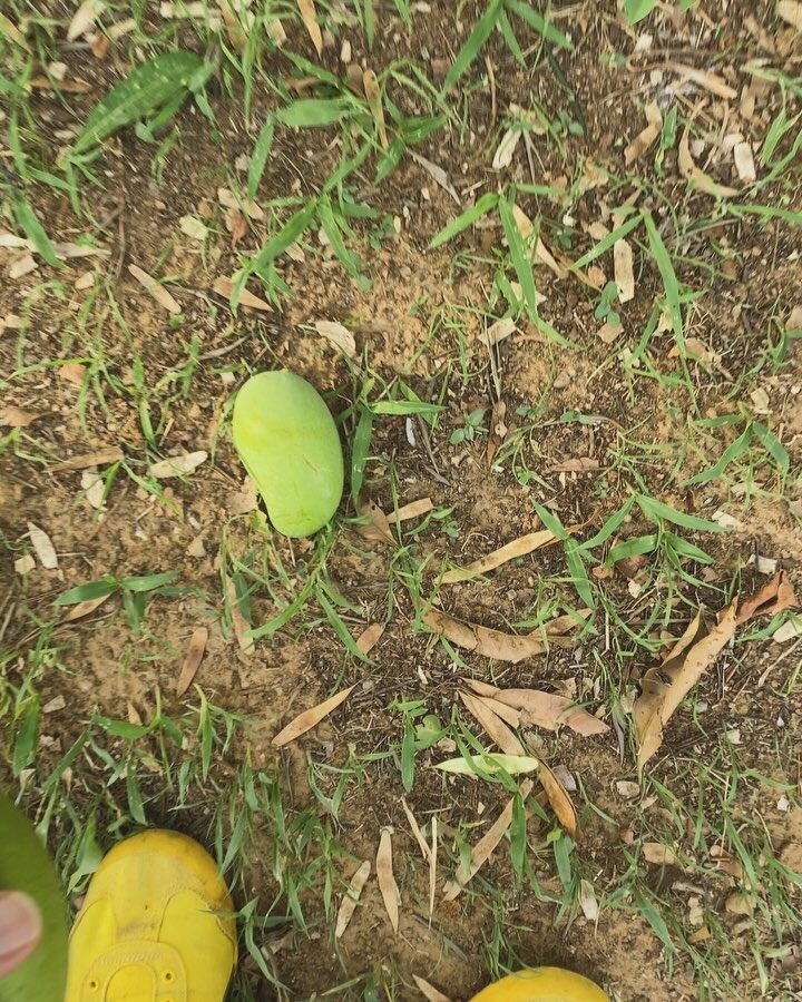 Instagram post from orchardatsarai. This post is in position 3.