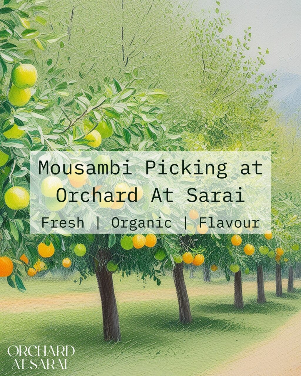 Instagram post from orchardatsarai. This post is in position 2.