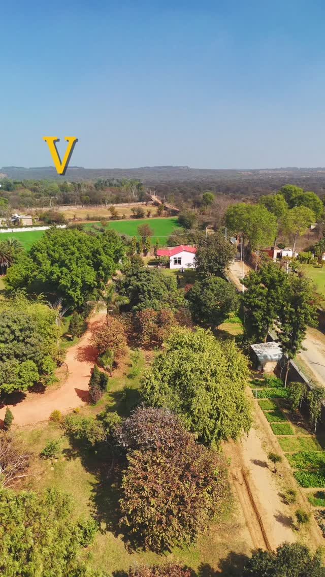 Instagram post from orchardatsarai. This post is in position 1.